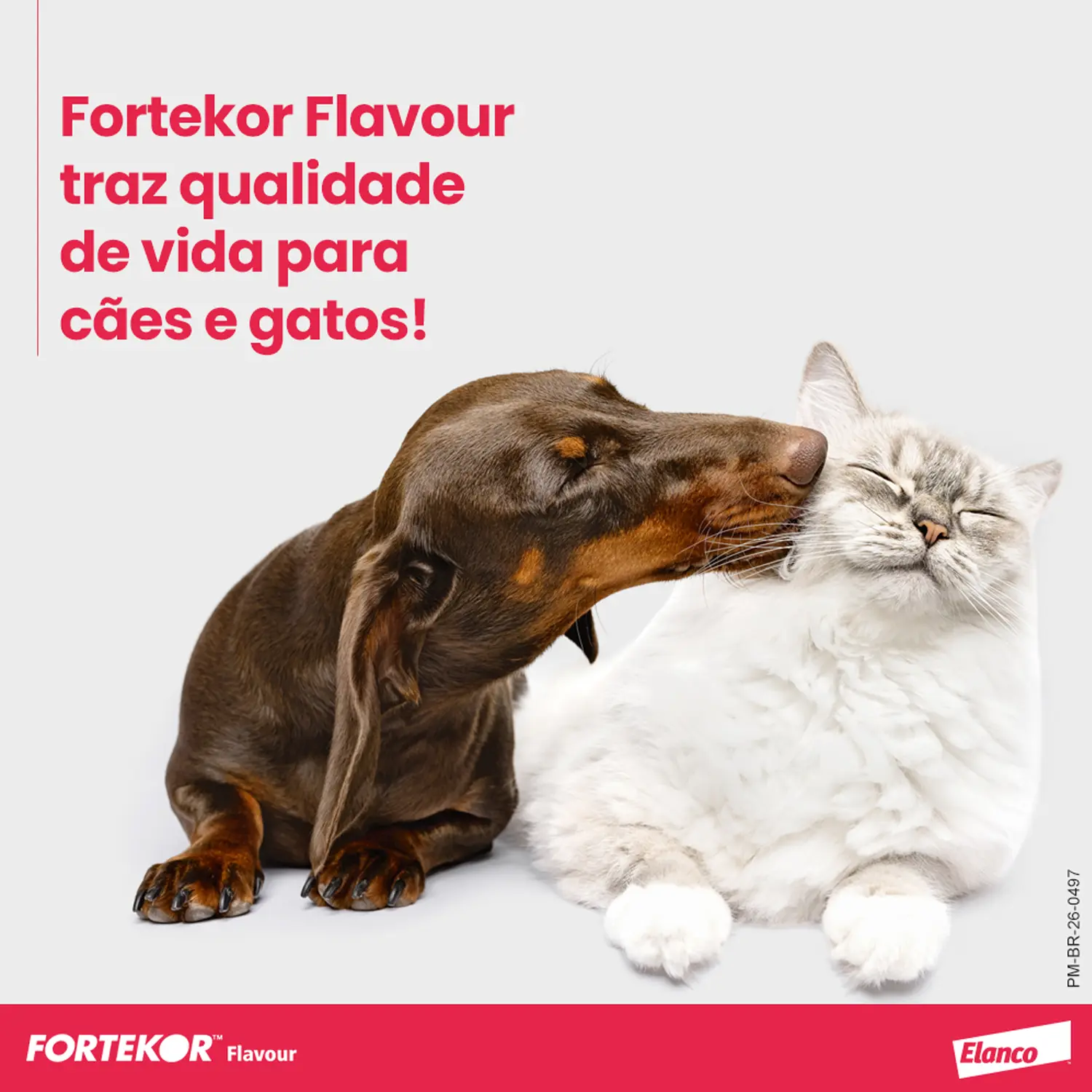 Fortekor Flavour 5 mg para Insuficiência Cardíaca Congestiva e Doença Renal Crônica